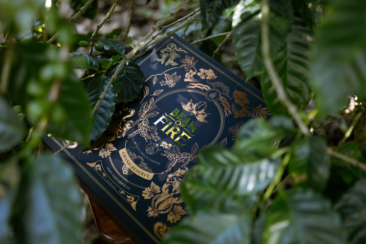 Exotic Variety Box